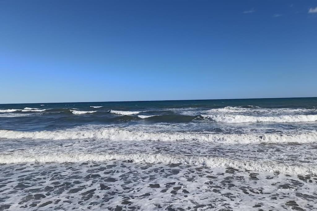 Piso En Playa De Gandia! Apartment Ngoại thất bức ảnh